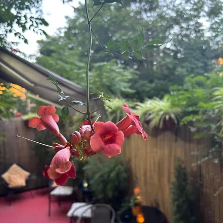 Do Stil Boutique Temesvár