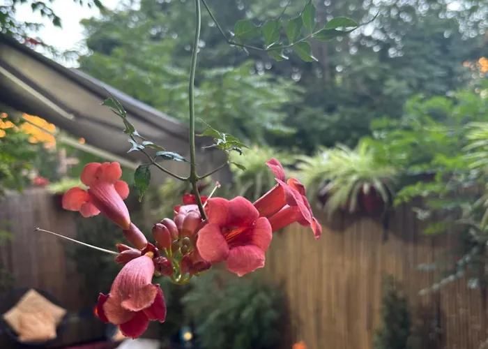 Do Stil Boutique Timişoara